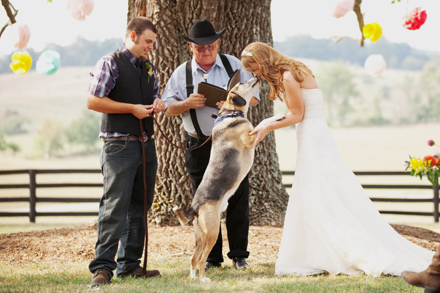 Cachorro em casamento ao ar livre