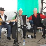 Música ao Vivo
