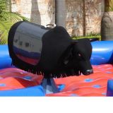 Que Bella Festa Locação de Brinquedo