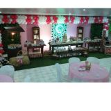 Casa Da Criança Festas Infantis
