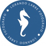 Lorando Labbe - Fotografia