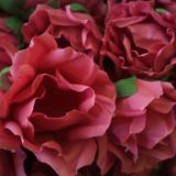 Forminhas Para Doces Finos () -