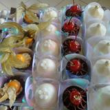 Atelier Das Delicias