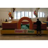 Recreação Infantil Bombando Brinque