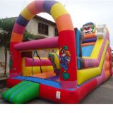 hm Festas