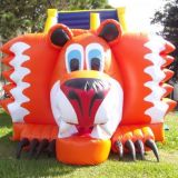 Mania Eventos