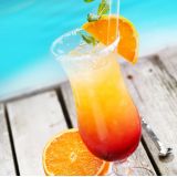 Fashion Drinks Bartenders