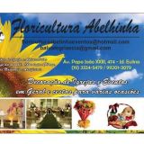 Floricultura Abelhinha flores e eventos