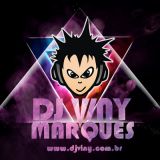 Dj Viny Marques - Som, Iluminação,Telão e Foto