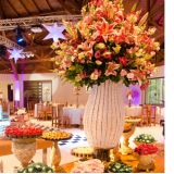 Sapeka Decorações 15 anos