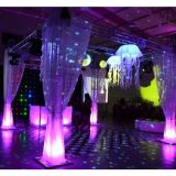 Dj casamentos e debutantes