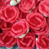 Cyforminhas