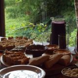Terra Brasil Café