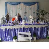 Festa Encantada Decorações
