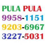 Paulo Pula Pula