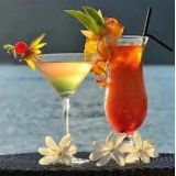 Daroal Bartender E Barista São José