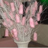 Nanas Festas