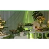 artsfestas buffet e decoração