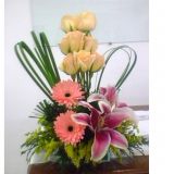 Clara Rosa Organização de Eventos