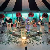 Festa Debutante Holywwod
