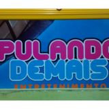 Pulando Demais Brinquedos RJ