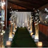 Floricultura Bellas Flores