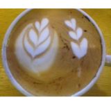 Delicious Drinks Bartenders e Baristas