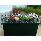 Vidal Bartender