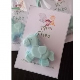 Fiori per Ana