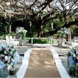Master Organização de Eventos