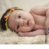 Pallone Fotografia