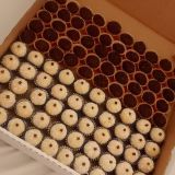 Brigadeiros fest