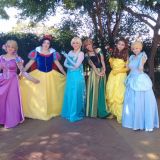 Analu festa produções e eventos