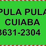 Locação de cama elástica em Cuiabá