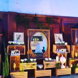Art Paisagismo Decorações