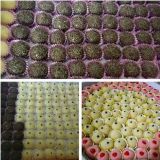 Docinhos para festa