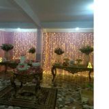 Baby Leco eventos
