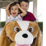 Animal Kid