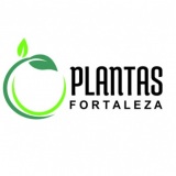 Locação de plantas Fortaleza