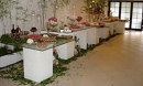 Arte Com Talento Gastronomia e Eventos