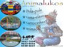 Animalukos festas e eventos