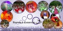 A3 Festas e Eventos