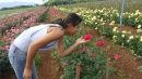 Dione Almeida