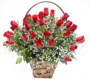 Lila Floricultura