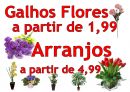 Lila Floricultura