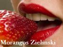 Morangos Zielinski Vendas