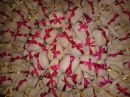 Delicat Doces Finos