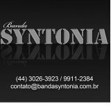 bandasyntonia