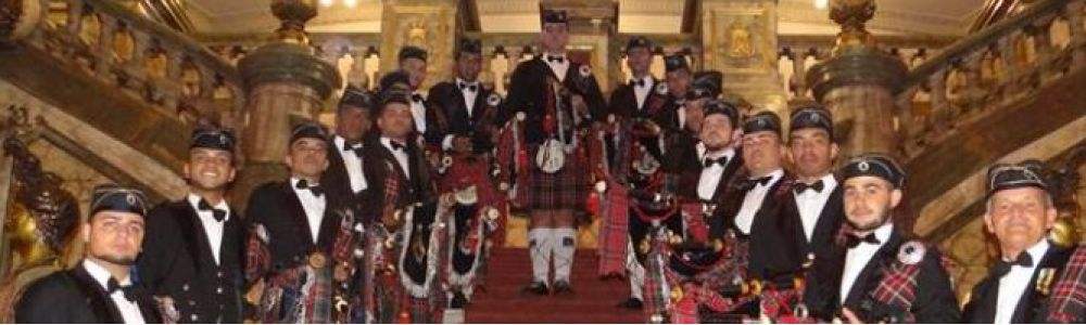 Brazilian Piper