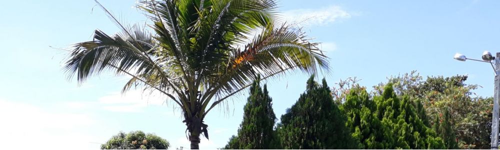 Chacara Pantanal